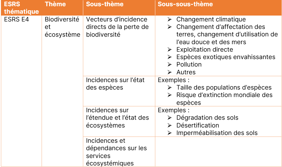 La double matérialité daprès les lignes directrices de l EFRAG kShuttle